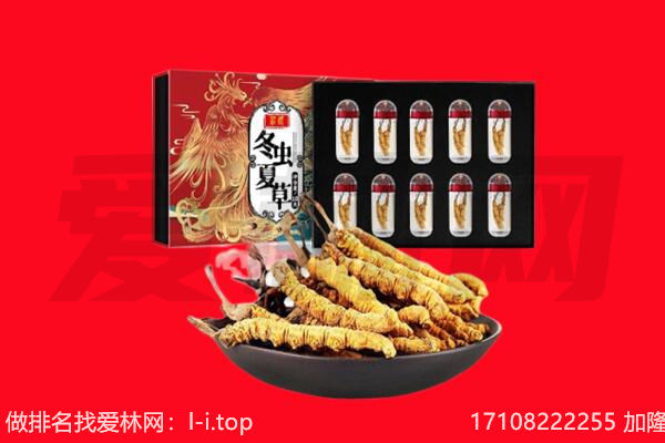 新邱区回收虫草.jpg